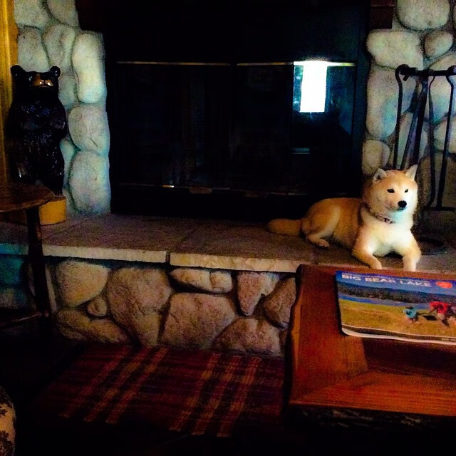 fb体育试玩-科技引领：最新赛车零部件亮相，赛车零件图