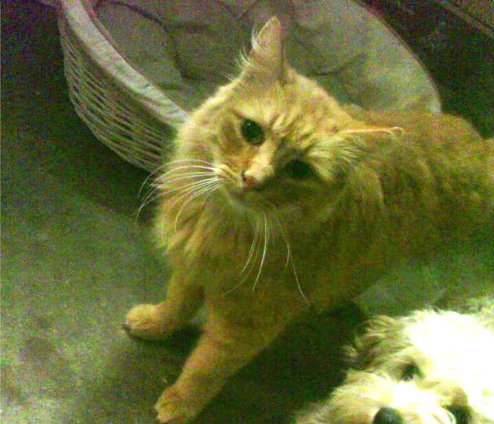 大连一方球员展现出色表现,全力冲刺前进,大连一方球迷贴吧