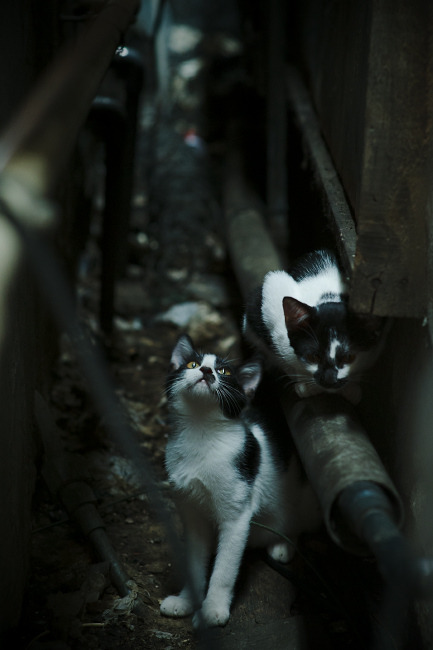 fb体育电竞-大连一方球员展现出色表现，全力冲刺前进，大连一方阵容名单