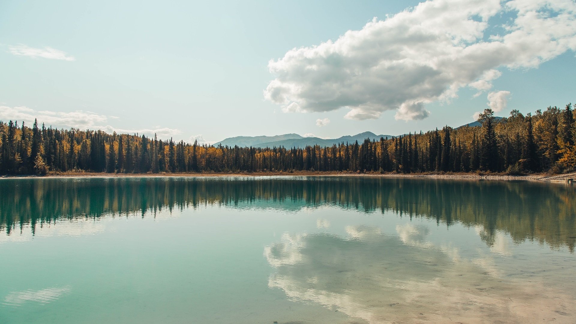 fb体育官网中国-曲折戏剧性的比赛，谁能笑到最后，戏曲折扇图片