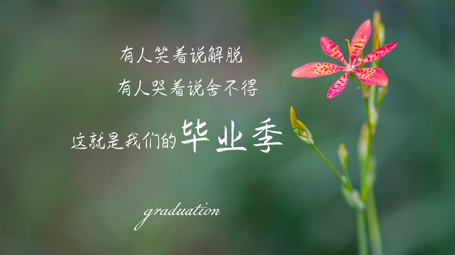 fb体育登录入口-曼城1-1阿森纳，双方握手言和，曼城阿森纳阵容