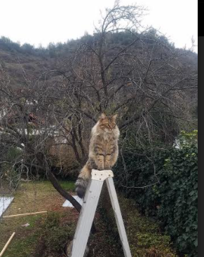 fb体育官网网页版-欧预赛局势动荡：有意外的一天，谁将胜出？，欧预赛比赛结果