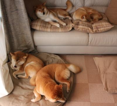 电竞电竞赛事安全保障体系建设及应急预案制定研究,电竞赛事举办的必要条件