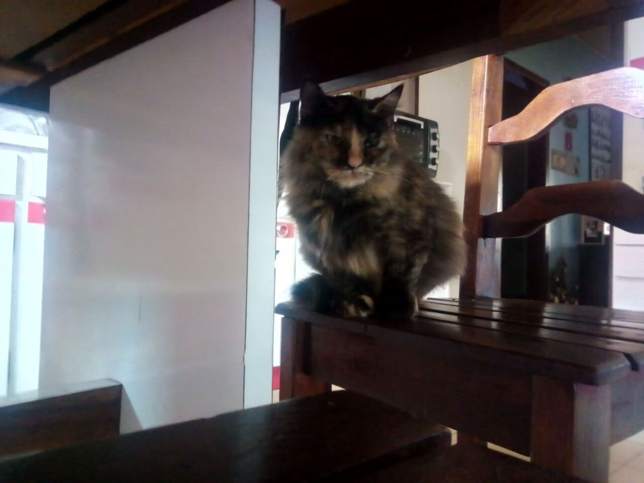 电竞电竞赛事安全保障措施及应急预案体系构建,电竞赛事风险预案