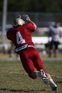 fb体育赛事平台-五大联赛争四阶段关键球员贡献值差异对比，五大联赛引援