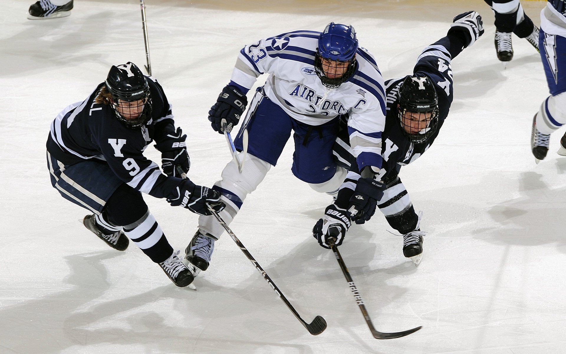NBA总冠军赔率更新，凯尔特人跃居榜首